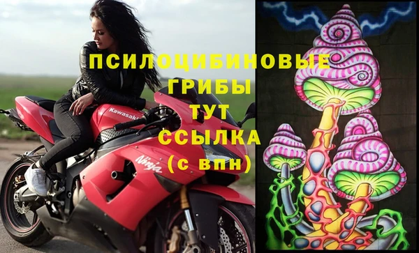 apvp Горно-Алтайск