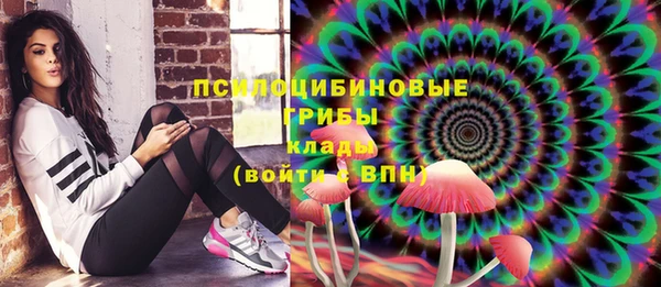 apvp Горно-Алтайск