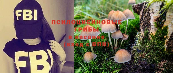 apvp Горно-Алтайск