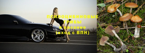 mix Горняк