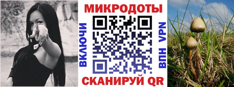 Псилоцибиновые грибы прущие грибы  где найти наркотики  Березники 
